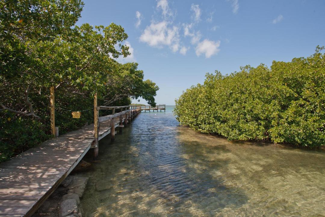 Photo of Outdoor in Big Pine Key