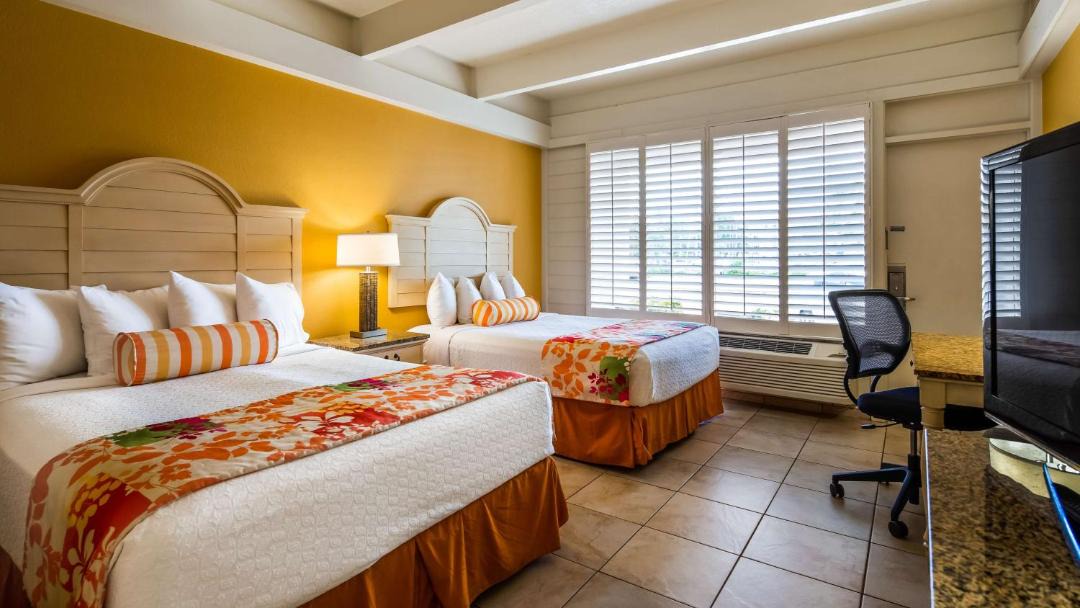 Photo of Bedroom in Downtown Dunedin