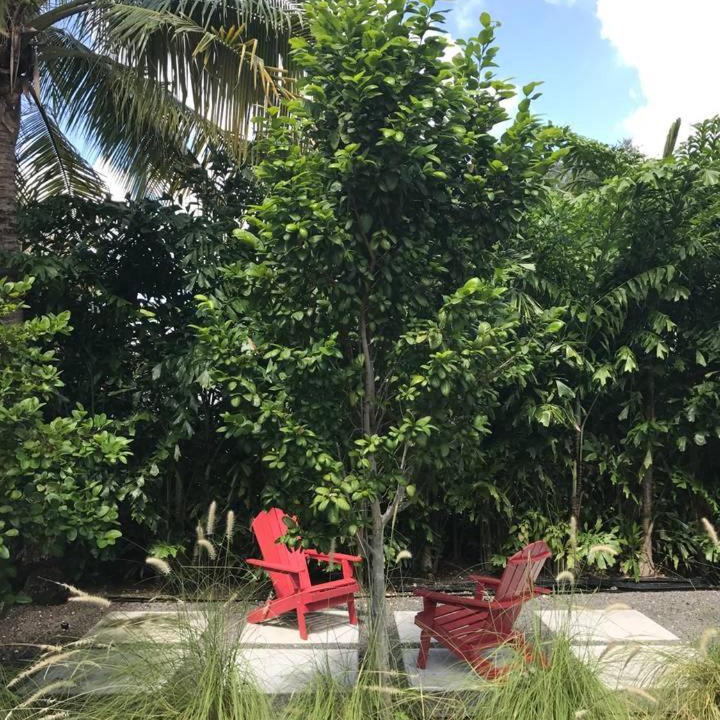 Photo of Others in Southwest Coconut Grove