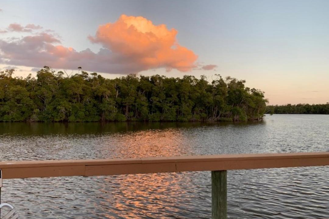 Photo of Others in Everglades City