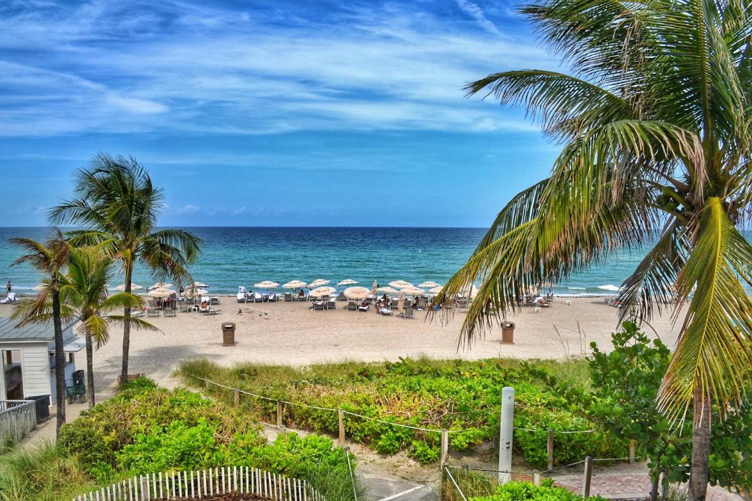 Photo of Outdoor in Sunny Isles Beach