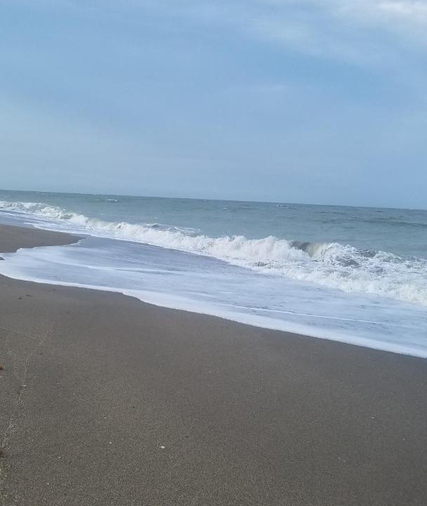 Photo of Others in Fort Pierce