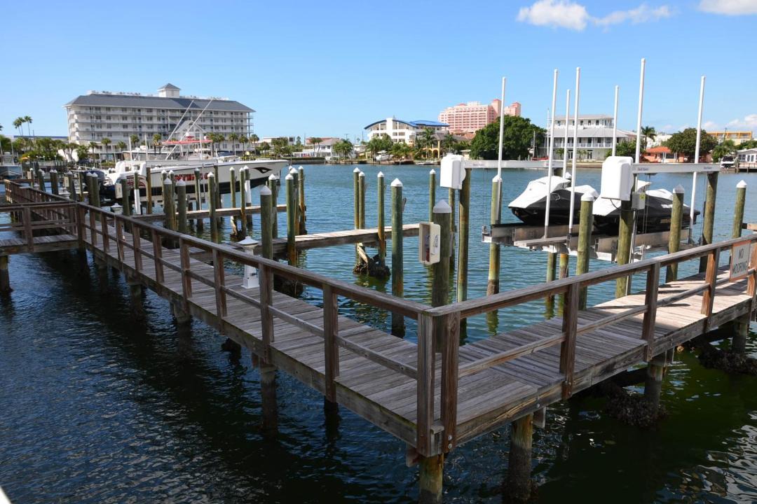 Photo of Others in Clearwater Beach