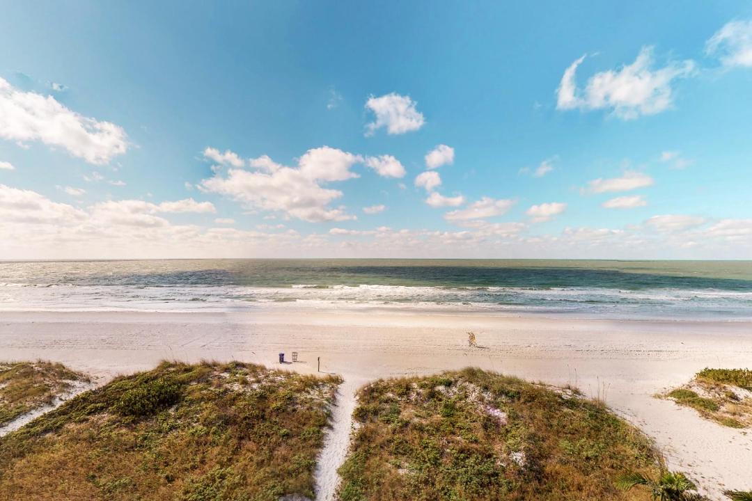 Photo of Others in Indian Rocks Beach