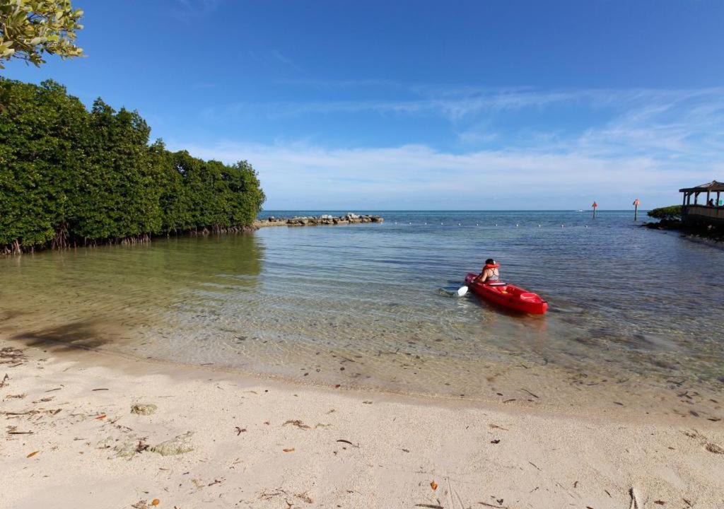 Photo of Others in Tavernier