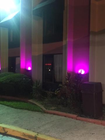Photo of Buildings in Bearss Plaza