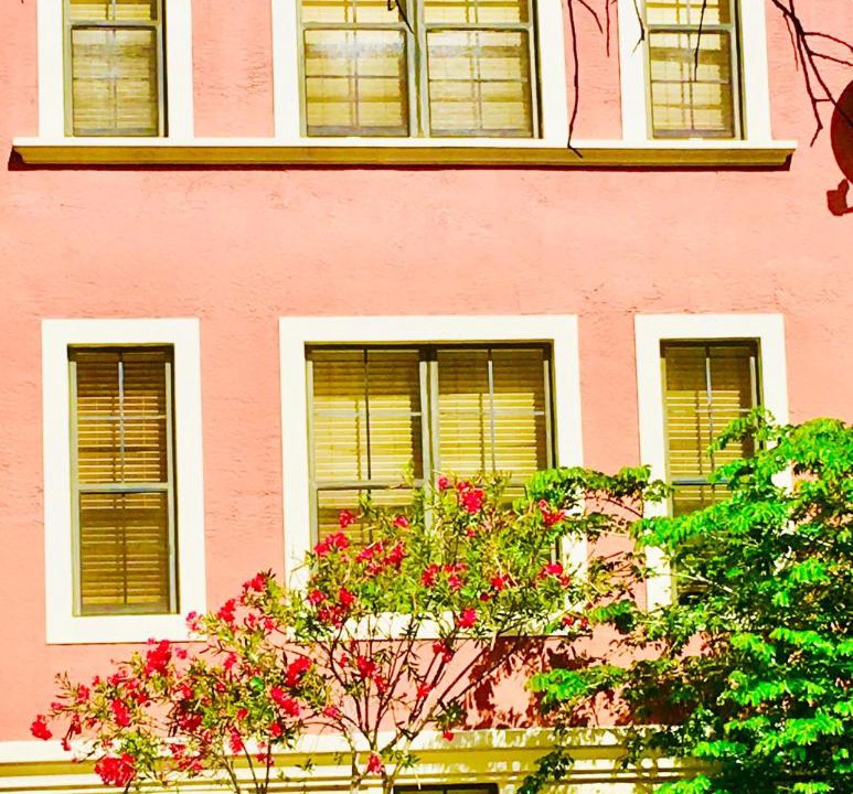 Photo of Buildings in Downtown West Palm Beach