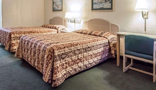 Standard Double Room, 2 Double Beds, Non Smoking