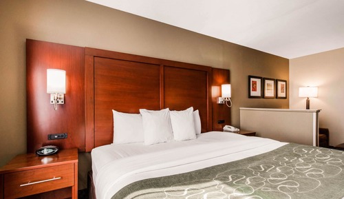 Suite, 1 King Bed with Sofa bed, Non Smoking (Upgrade)