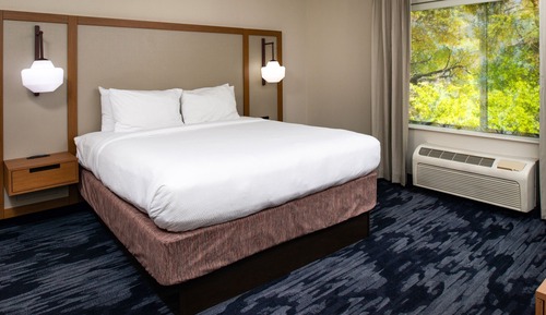 Room, 1 King Bed