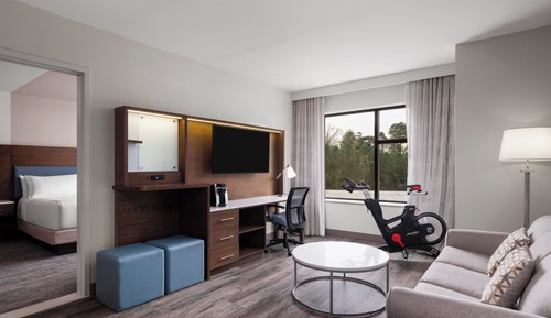 Suite, 1 King Bed