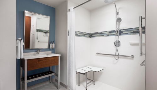 Suite, 1 King Bed, Transfer Shower (Mobility)