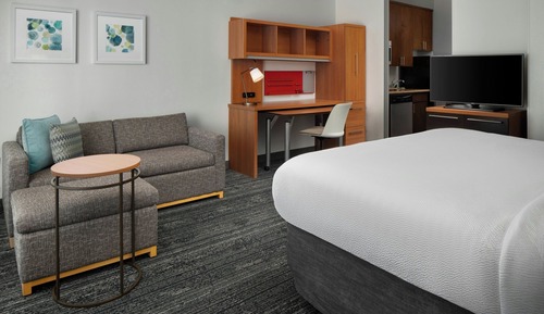 Studio, 1 King Bed with Sofa bed