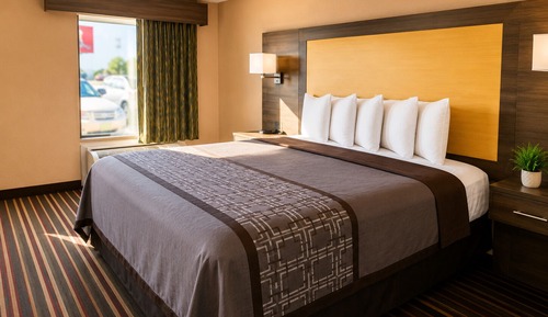 Classic Room, 1 King Bed, Non Smoking