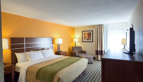 Double Room, 2 Double Beds, Non Smoking