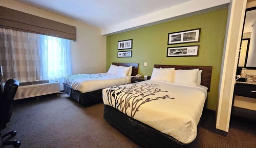 Standard Room, 2 Double Beds, Non Smoking, Refrigerator & Microwave