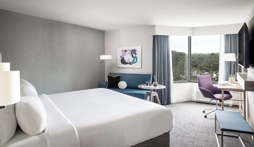 Standard Room, 1 King Bed, Accessible (Communications)
