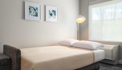 One-Bedroom Queen Suite with Sofa Bed and Adapted Tub - Mobility and Hearing Accessible