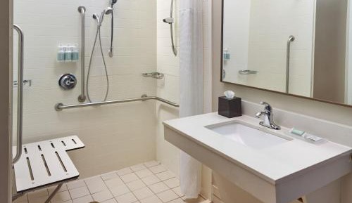 King Suite with Roll-In Shower and Sofa Bed - Mobility Access/Hearing Accessible