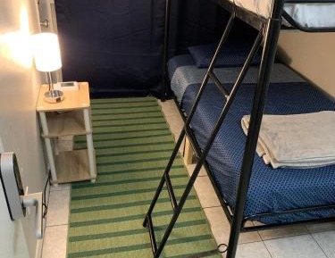 Bunk Bed in Mixed Dormitory Room