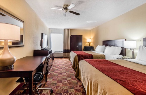 Jasper Hotel | Comfort Inn & Suites Jasper Hwy 78 West