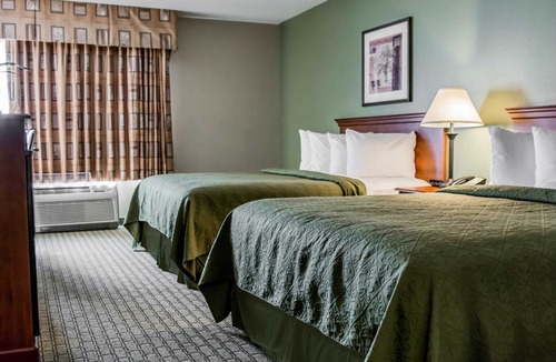 Tampa Hotel | Quality Inn & Suites Near Fairgrounds & Ybor City