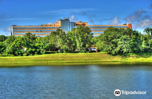Altamonte Springs Hotel | Hilton Orlando/Altamonte Springs