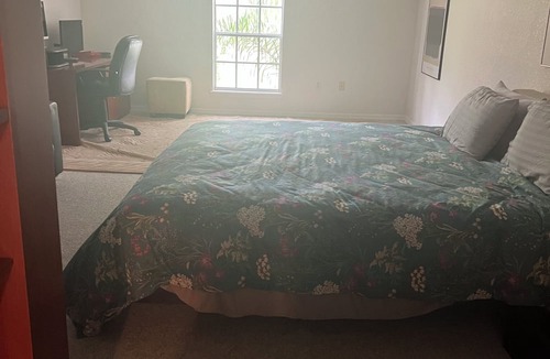 Orlando House | Lakeside house filled with art