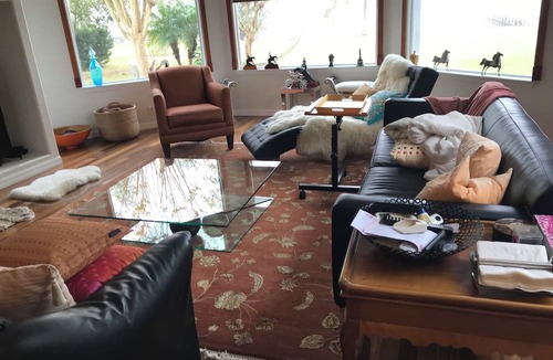 Orlando House | Lakeside house filled with art